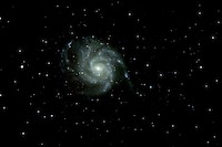 M 101 TN